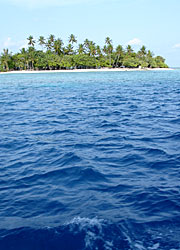 Maldives Research